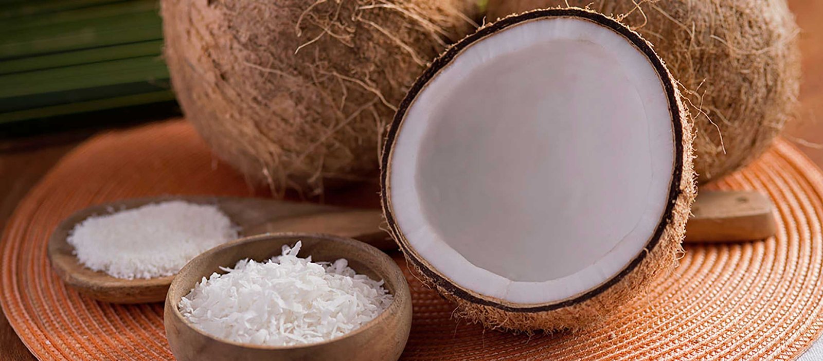 Desiccated Coconut